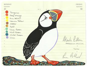 Atlantic Puffin von Fran Giffard