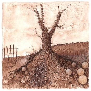 Magic tree par Simon M Smith