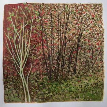 Bushes in spring par Simon M Smith