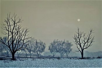 Mattina gelida von Jacek Malinowski