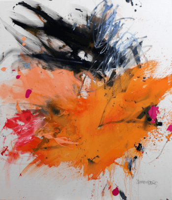 BETWEEN JOY AND FEAR by Daniela Schweinsberg