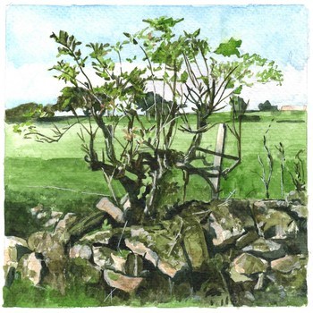 Laskill by Simon M Smith