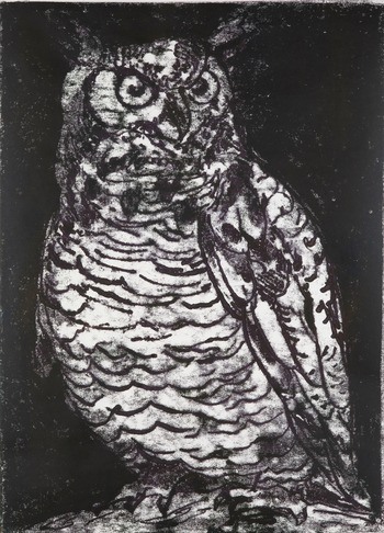 King Owl by Kate McCrickard