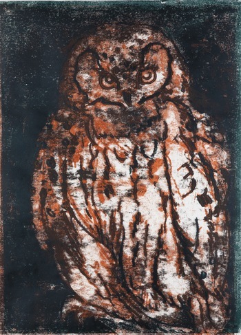 Tawny Owl von Kate McCrickard