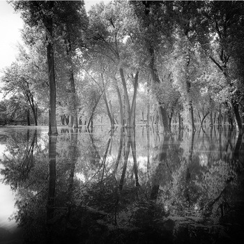 Pettibone Deluge by Geoffrey Ansel Agrons