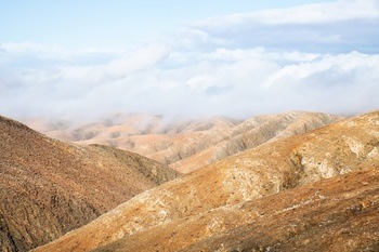 DREAMLAND by Andrew Lever