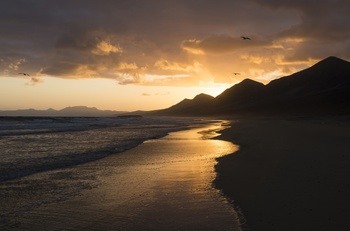 COFETE SUNRISE by Andrew Lever