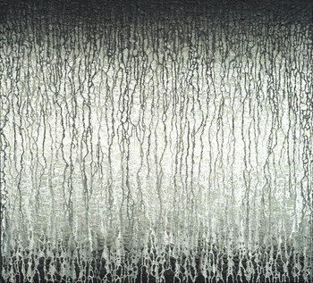 Grey Veils over Light by Heidi Thompson