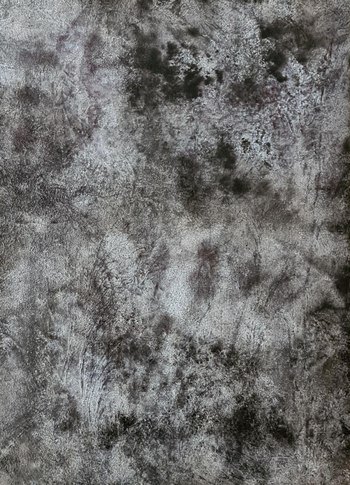 ABSTRACT #4 par Iliana Tosheva