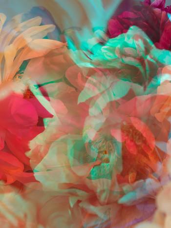 PARALLELS VII by Andrea Zvadova