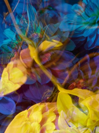 PARALLELS VI by Andrea Zvadova