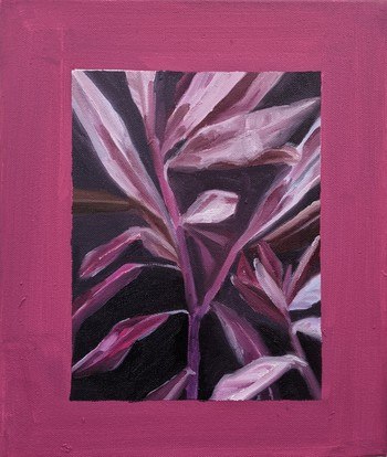 Pink Leaves Against A Window by Juliet E P Gibbs