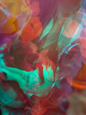 PARALLELS IV  by Andrea Zvadova