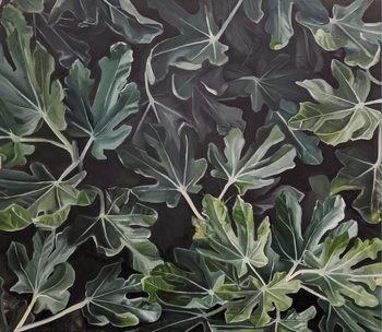 Common Fig par Juliet E P Gibbs