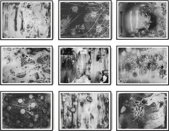 Scanography Multi  by Sven Pfrommer