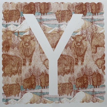 Y is for Yak  by Clare Halifax