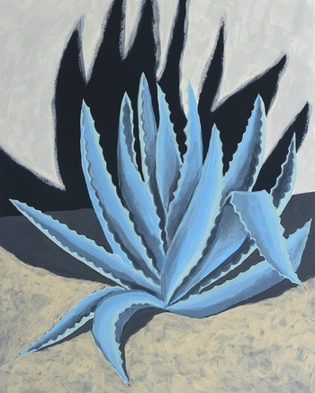 Agave at Night by Michael Pfleghaar