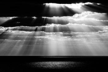 Spot par Tal Paz-Fridman