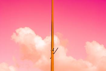 The Pink Half von Tal Paz-Fridman