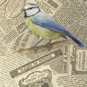 Blue Tit von Sarah Goldbart