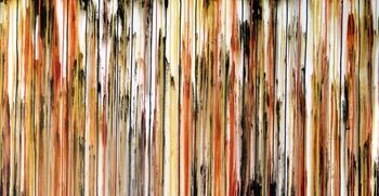 The Emotional Creation #242 by Carla Sa Fernandes