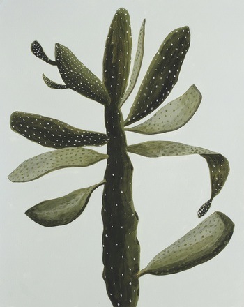 Prickly Pear on Gray von Michael Pfleghaar