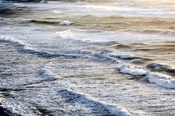 Infinite Sea von Tal Paz-Fridman