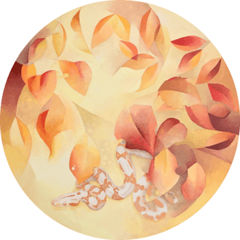 Serpent Albinos von Sarah Goldbart