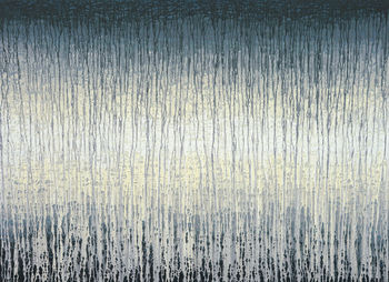 Soft Veils of Grey by Heidi Thompson