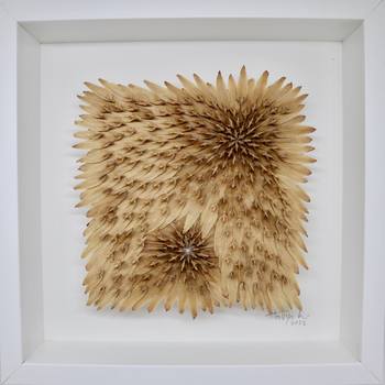 Tulipier by Ana Montoya