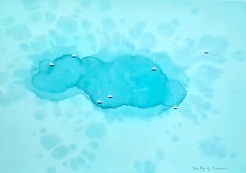 Blue Bay | Tiger Bay  par Yuliya Martynova