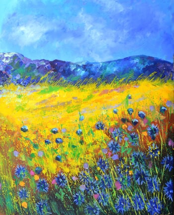 Summer field flowers by Pol Ledent