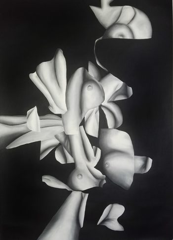 CORRY von Stefano Mazzolini