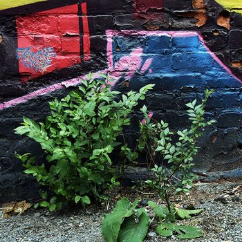 Natur'elle graffiti's - hugme - 04 von Karine Paoli