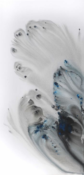 Nature 183 von Muriel Napoli