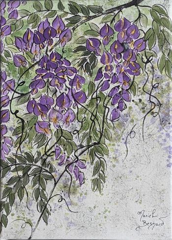 Glycines par Muriel BESNARD