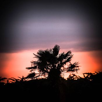 La flotte - 12/05/2020 21:48:39 by Pierre Nadler