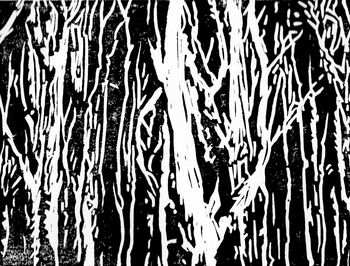 Branchages en négatif von CATHERINE GAJAC