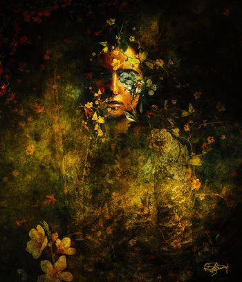 Appearance by Romain Bonnet