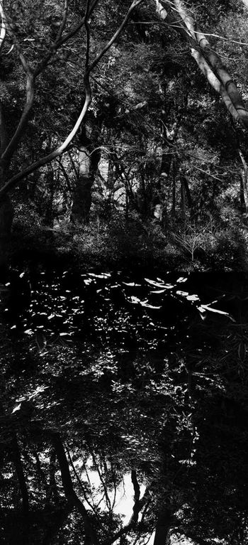 Reflecting landscape 10 by Yasuo Kiyonaga