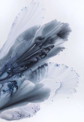 Nature 192 von Muriel Napoli