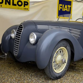 Delayahe grise von F. LORIEN