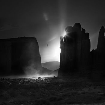 Bird in monument valley by Hélène Vallas