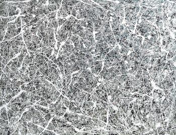 STAR 5 von Mea Ambrozo