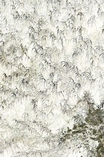 Hamadryades 12 par Michèle Sainte-Beuve