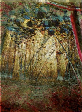 Les Vibrations de la forêt #3 by Gaëlle Cueff