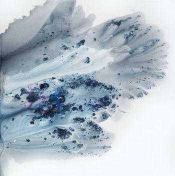 Nature 200 von Muriel Napoli