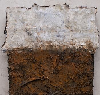 Forêts calcinées par Marie Kerrenneur