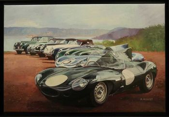 Jaguar beauties par Benoît Montet