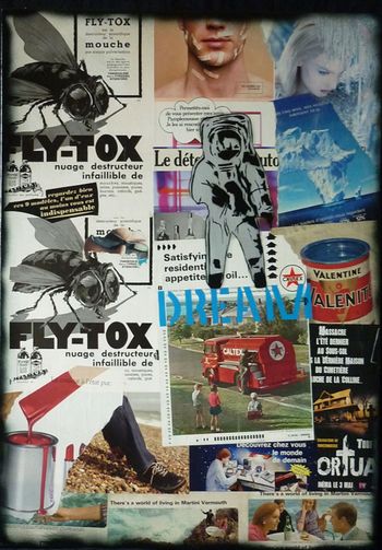 Human dream fly tox von Erik Bonnet